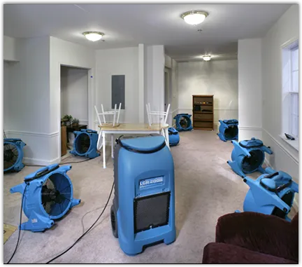 Contents Cleaning & Restoration in Citrus Park, FL