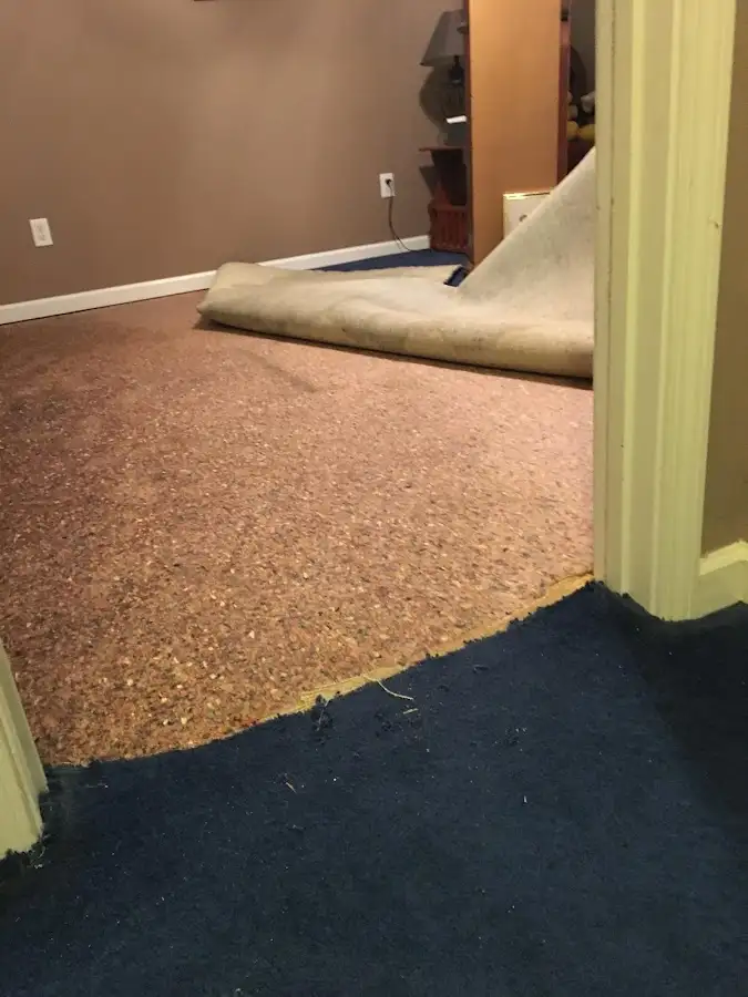 Carpet pad removal revealing water damage during Water Mitigation Services in Citrus Park