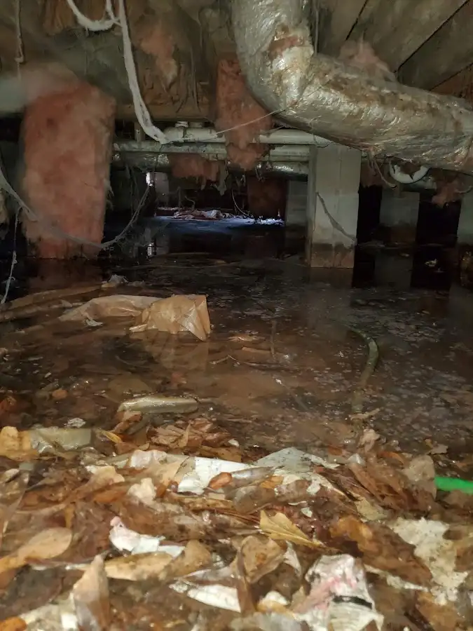 Crawl space flood assessment for Commercial Water Damage Restoration in Citrus Park
