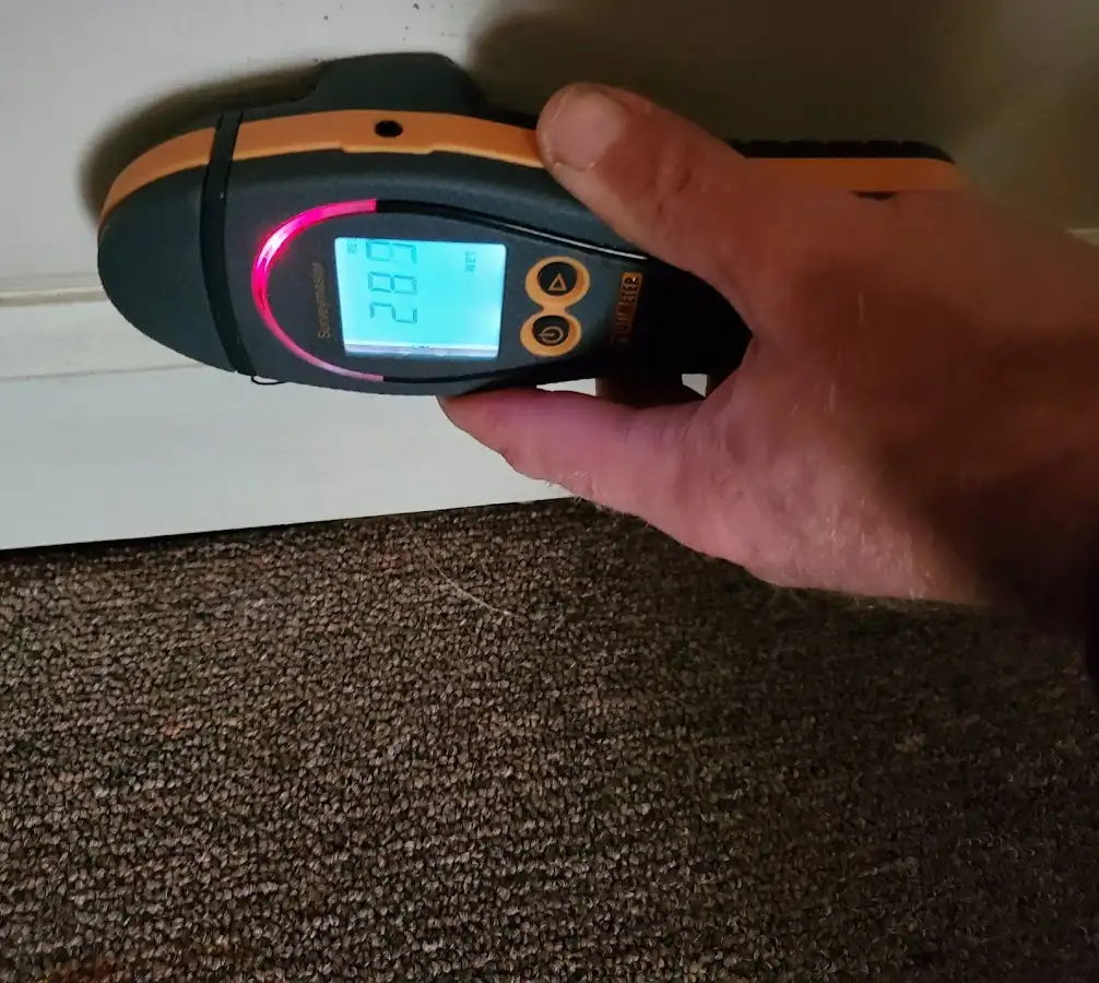 Moisture detection at baseboard during Storm Damage Restoration in Citrus Park